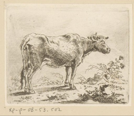 Cow turned to the right