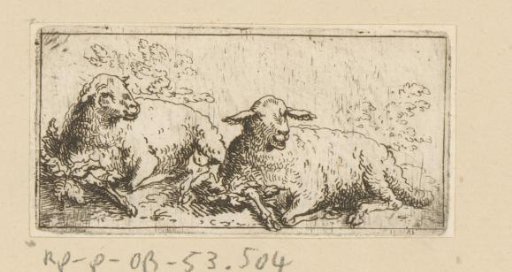 Two lambs
