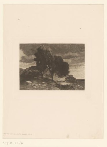 Landscape with trees and rocks