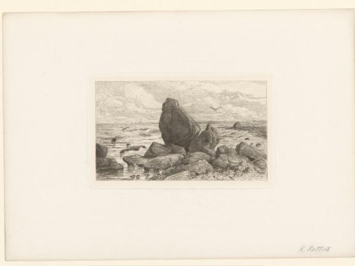 Rocks in the Surf with Birds