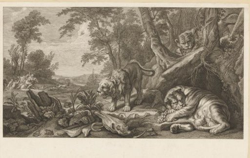 Group of lions and a lion hunt