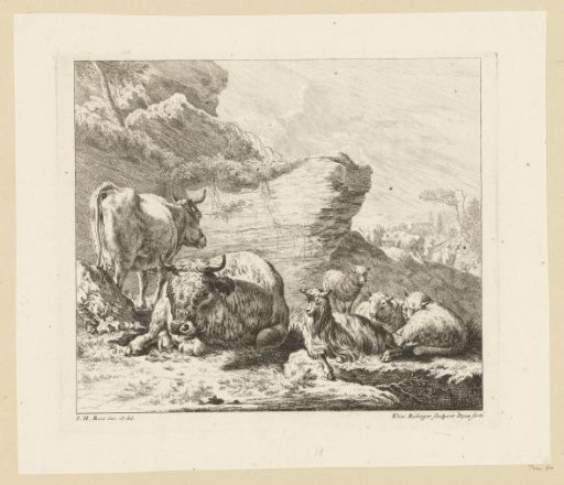 Herd of cattle and sheep