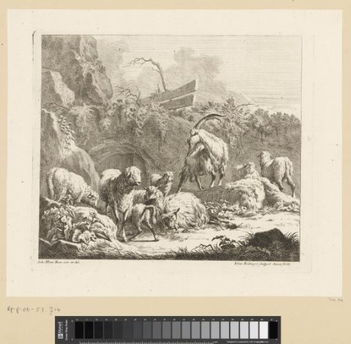 Herd of sheep and goats