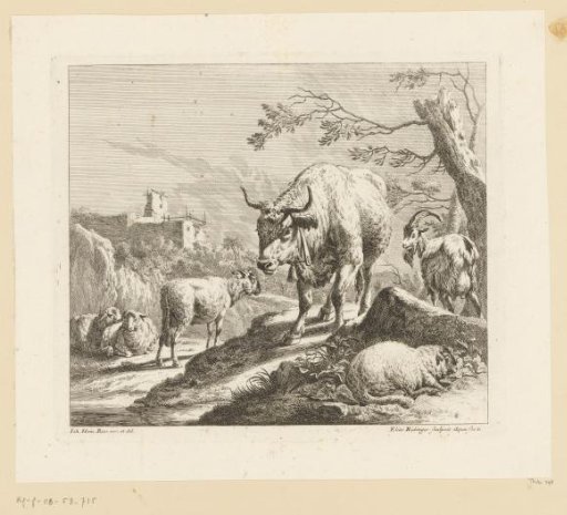 Ox, goat and sheep