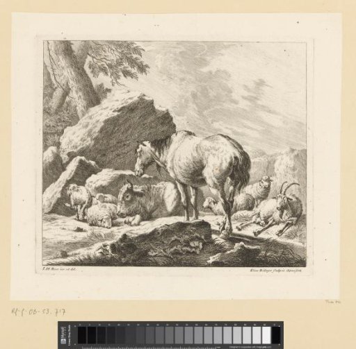 Herd of sheep, goat, cow and horse