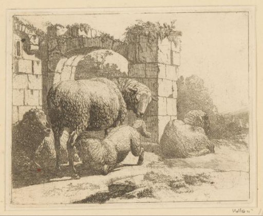 Sheep at a ruin with an arch