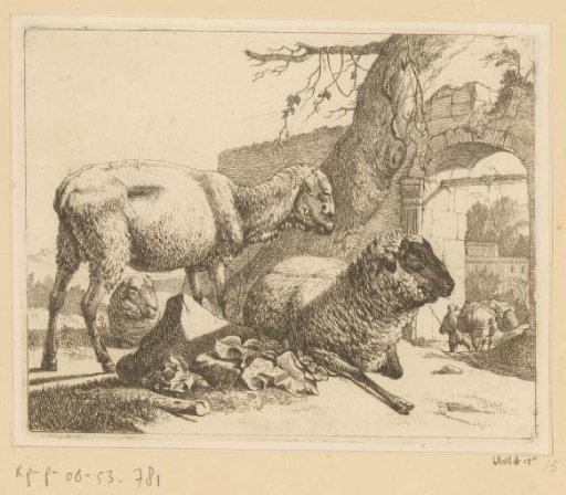 Standing and two lying sheep at a Roman gate