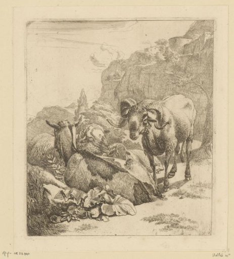 Standing ram, lying goat and two sheep