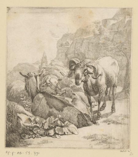Standing ram, lying goat and sheep
