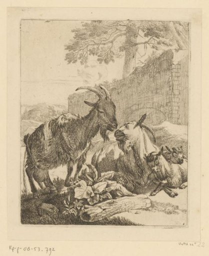Standing and lying goat with two kids