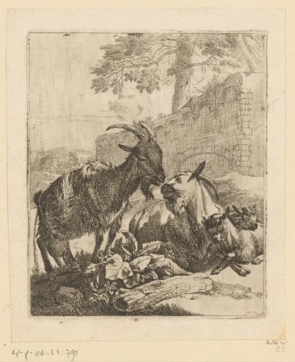Standing and lying goat with two kids