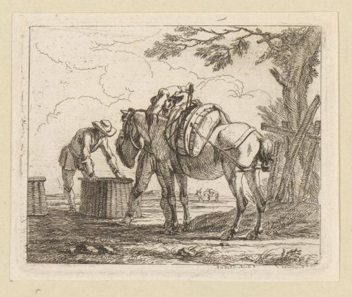 Horse being fed and unloaded
