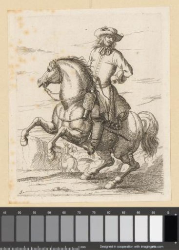 Rider on a rearing horse