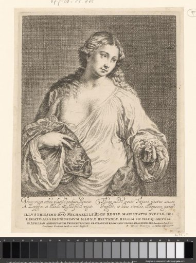 Flora
