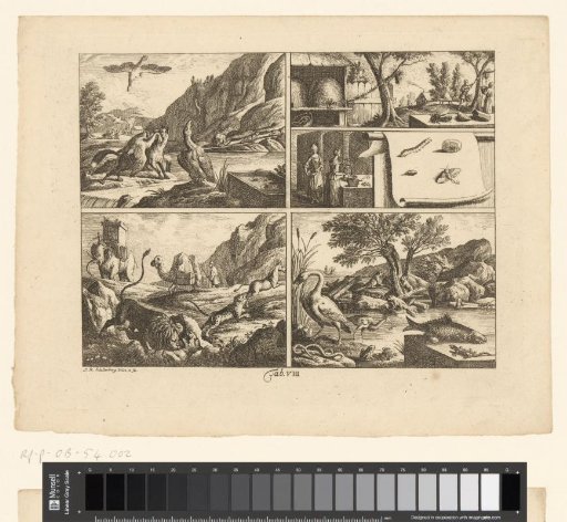 Five scientific representations of animals
