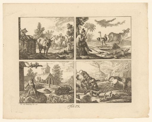 Four scientific representations of animals