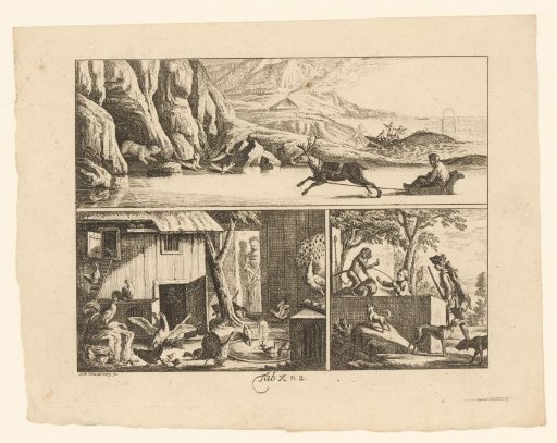 Three scientific representations of animals