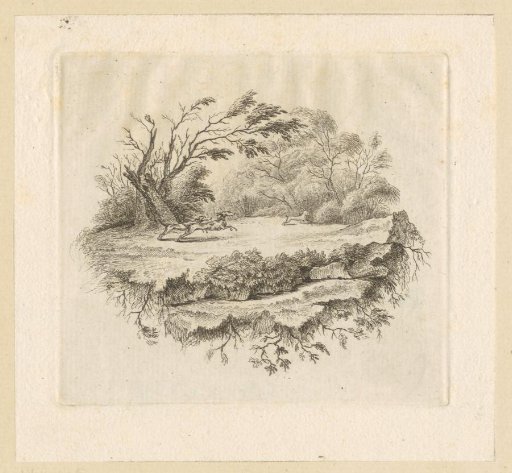 Hare hunted by two dogs