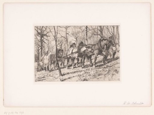Four draft horses pulling a log