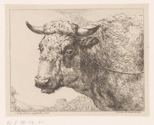 Head of a Cow
