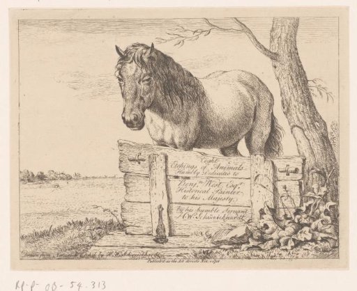 Horse behind a Wooden Partition