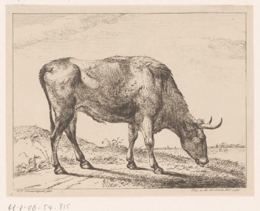 Bull