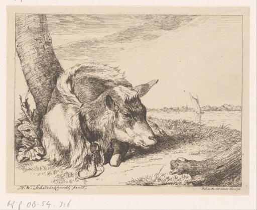 Goat lying by water