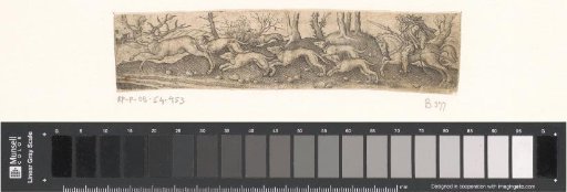 Stag hunt with a hunter on horseback and six dogs