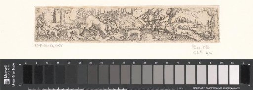 Stag hunt