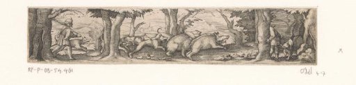 Wild boar hunt with two enclosed boars