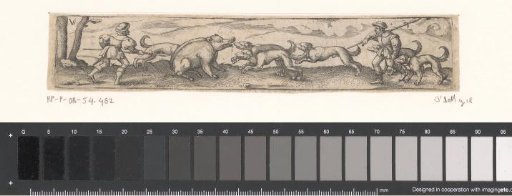 Wild boar hunt