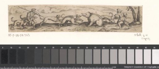 Wild boar hunt