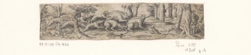 Wild boar hunt with two encircled boars