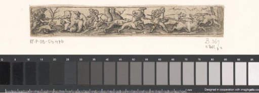 Bear Hunt and Wild Boar Hunt