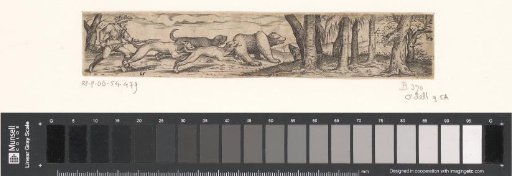 Bear Hunt with a hunter and three dogs