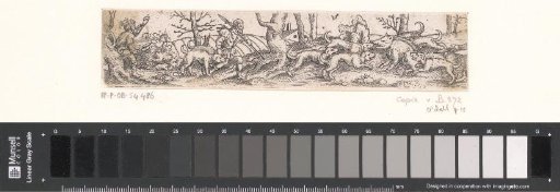 Wild Boar Hunt with a Hunter Blowing a Horn