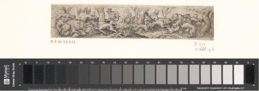Bear Hunt and Wild Boar Hunt