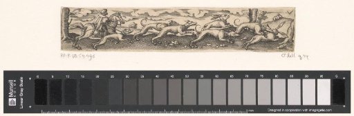 Hare Hunt with Dogs