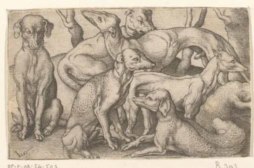 Six Dogs