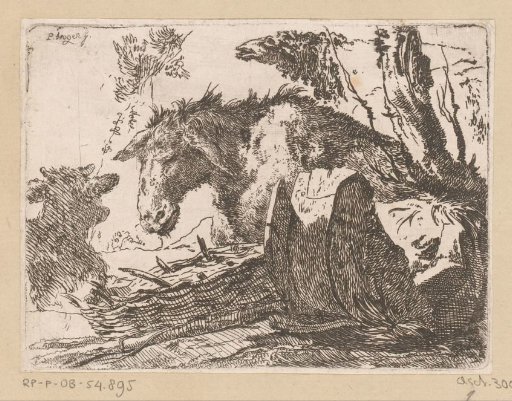 Resting donkey