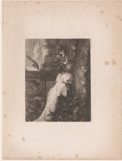 White Peacock and Other Fowl