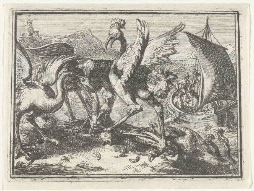 Title page for the pamphlet: The Young Cuckoo among the Kingfishers, 1702