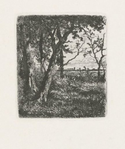 Trees by the Water's Edge