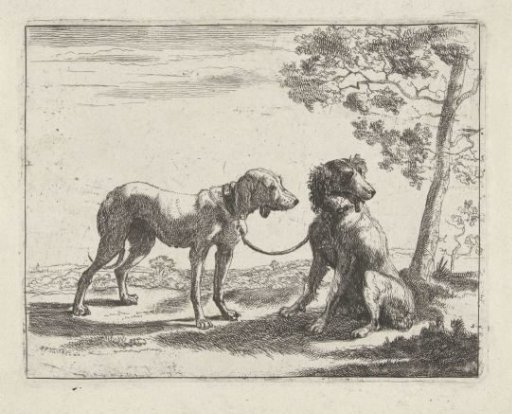 Two Dogs