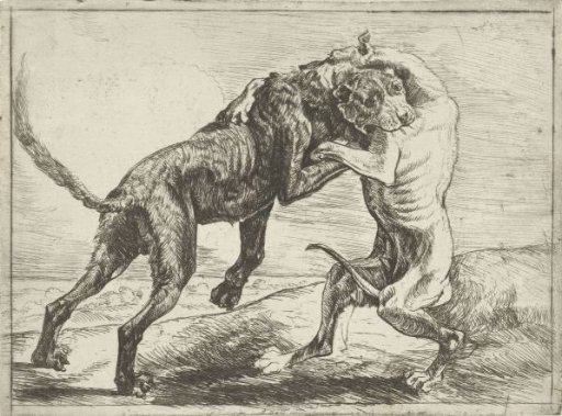 Two Fighting Dogs