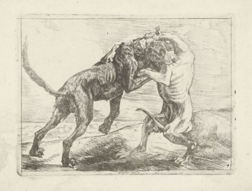 Two Fighting Dogs