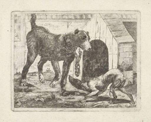 Dog on a Leash