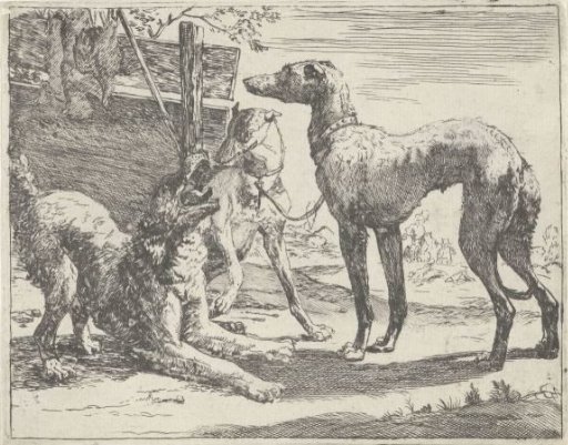 Three Dogs