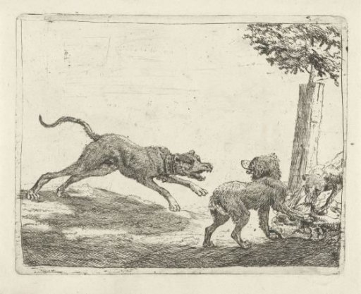 Three Dogs by a Carcass
