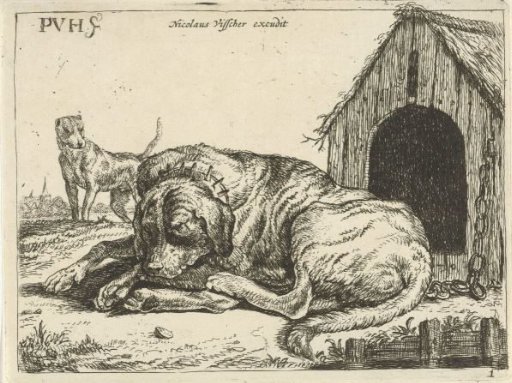 Reclining Dog on a Leash